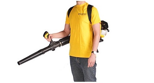 Бензиновая воздуходувка CHAMPION GBR333